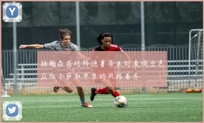 杨瀚森在对阵德鲁蒂米时表现出色应向小萨和申京的风格看齐