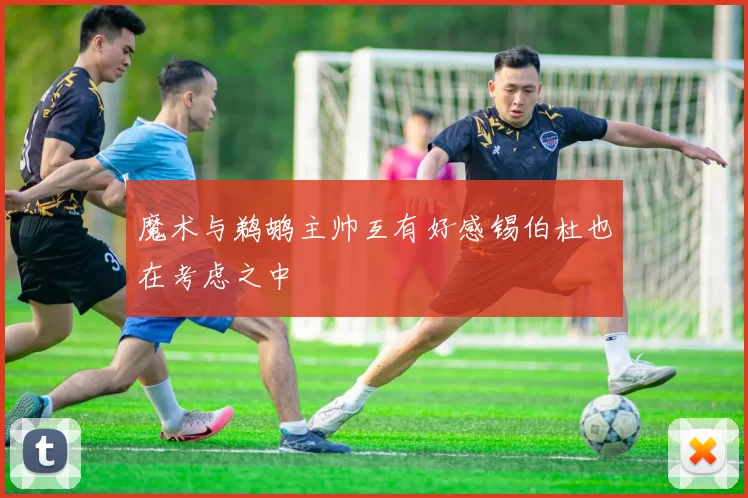 魔术与鹈鹕主帅互有好感锡伯杜也在考虑之中