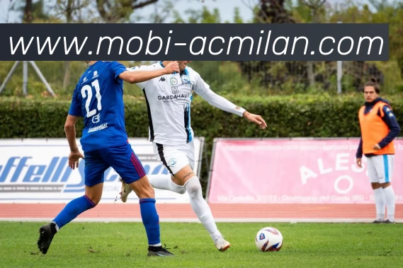 米兰体育APP 封面图